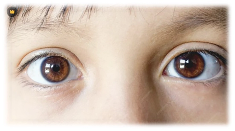 三重中醫傷科推薦